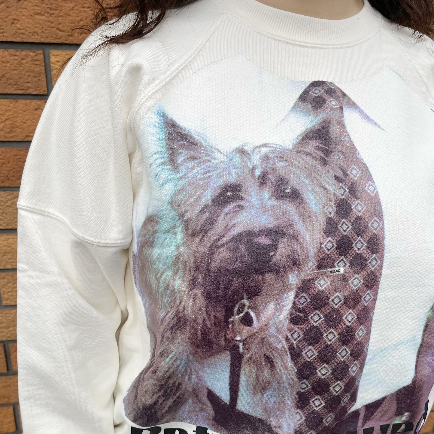 Uncle&Dog crack trainer / OFF WHITE / プリントトレーナー