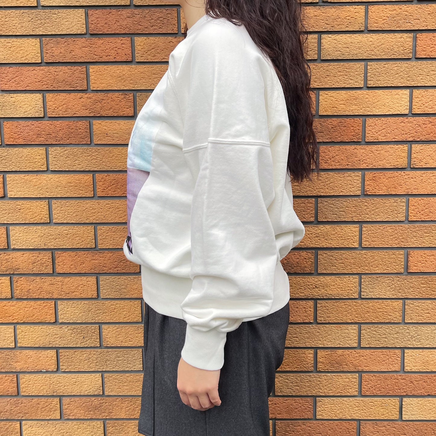 Uncle&Dog crack trainer / OFF WHITE / プリントトレーナー