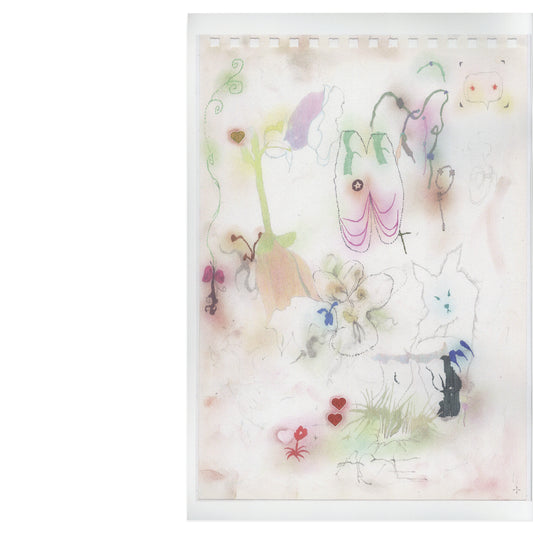 BOOK ”Nuseahe” / Haesun Lee