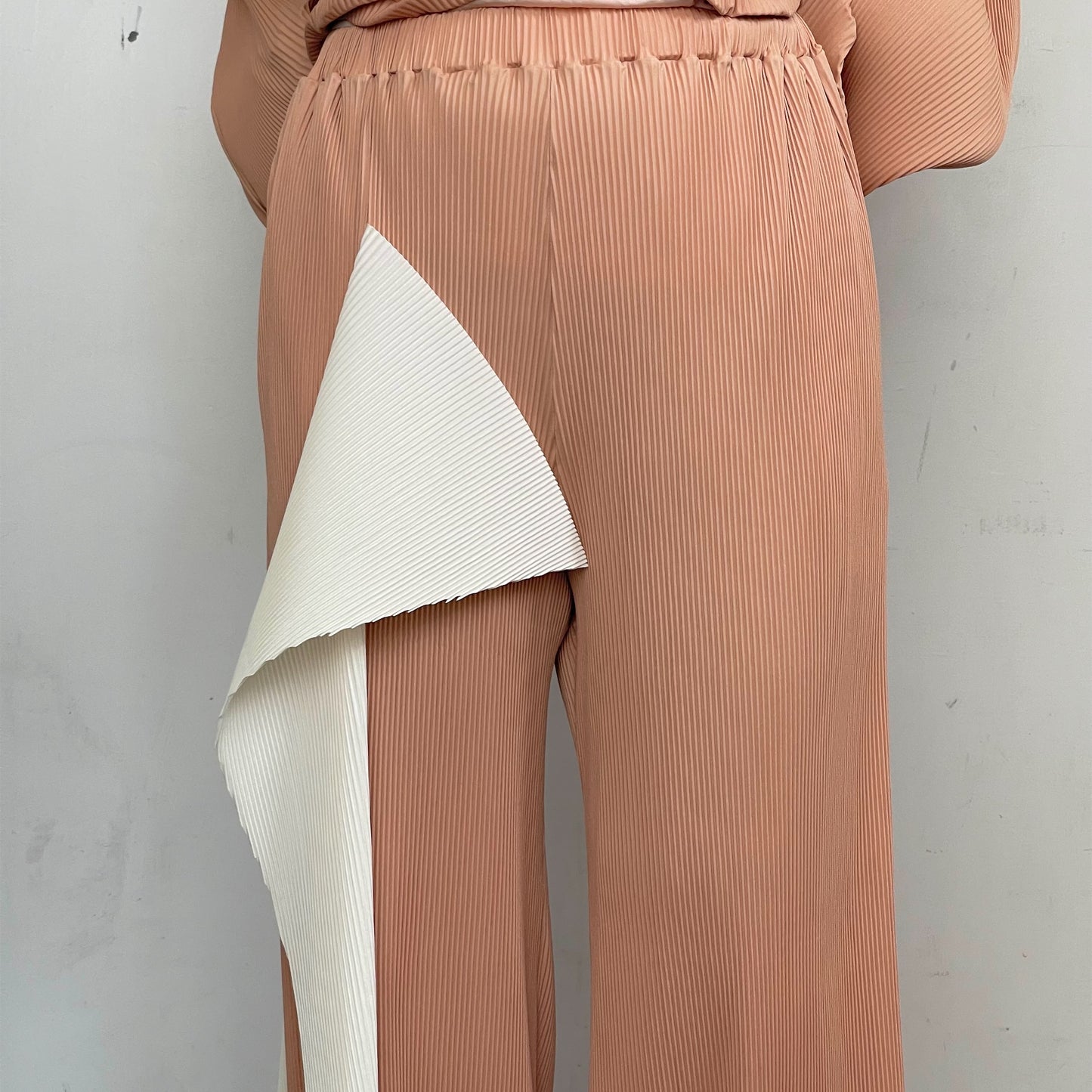Pleated panel pants / Beige / プリーツパネルパンツ
