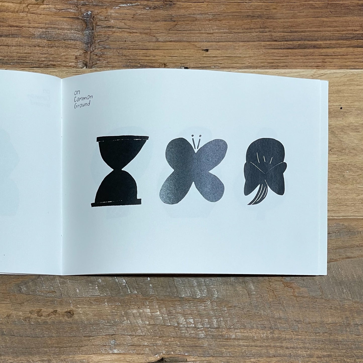 On Common Ground / killdisco