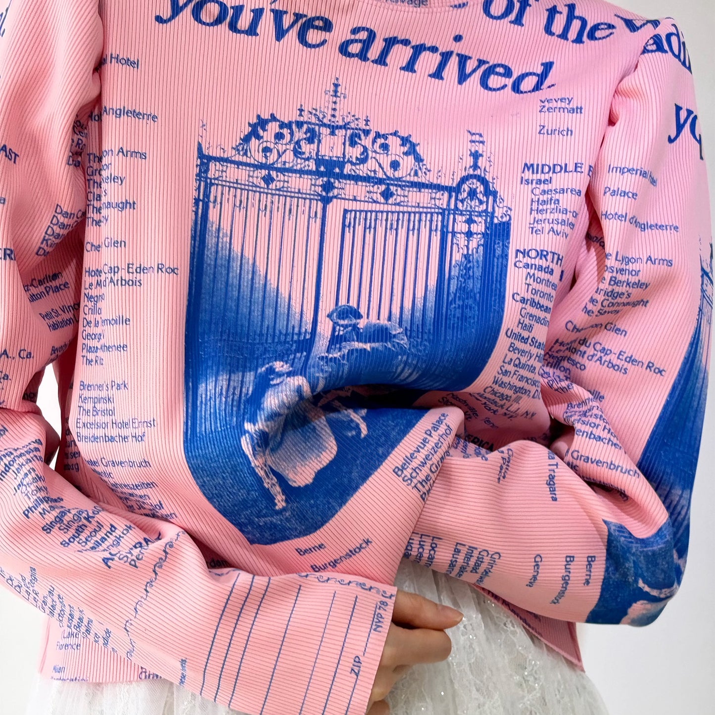 PRINT RIB PUFF SLEEVE CUTSEW / PINK /プリントリブパフスリーブカットソー