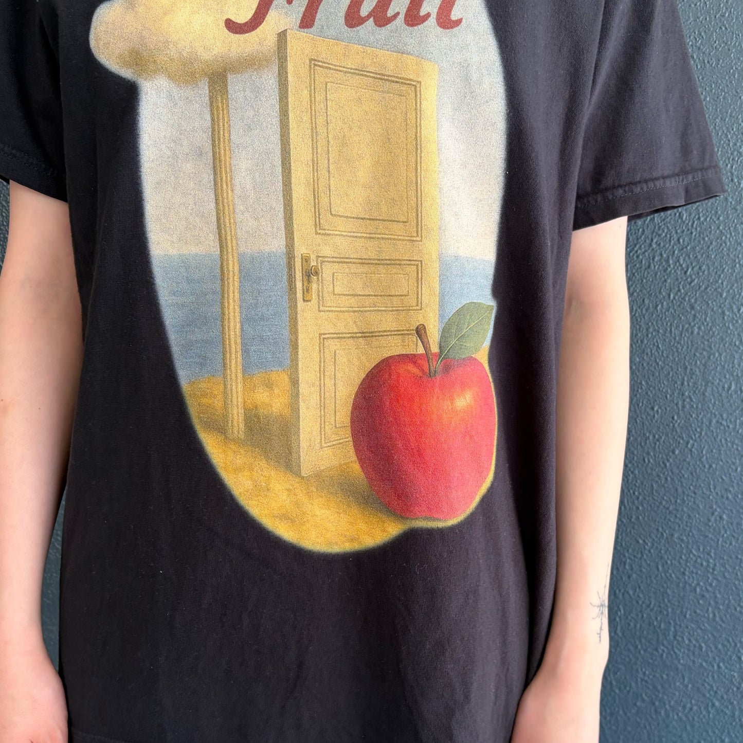 SOUVENIR T-SHIRT PASSION FRUIT / BLACK / グラフィックTシャツ