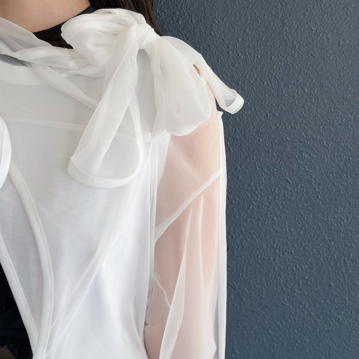 Sheer ribbon top / White / シアーリボントップ