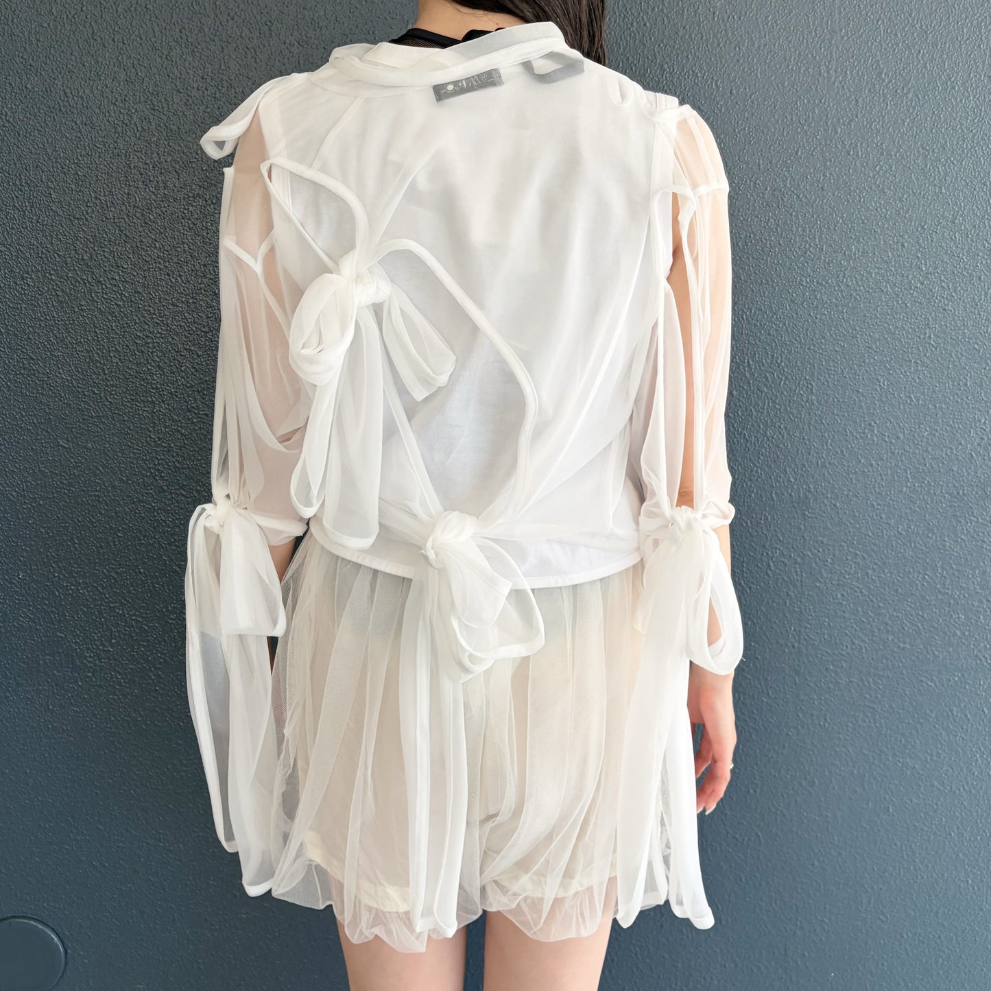 Sheer ribbon top / White / シアーリボントップ