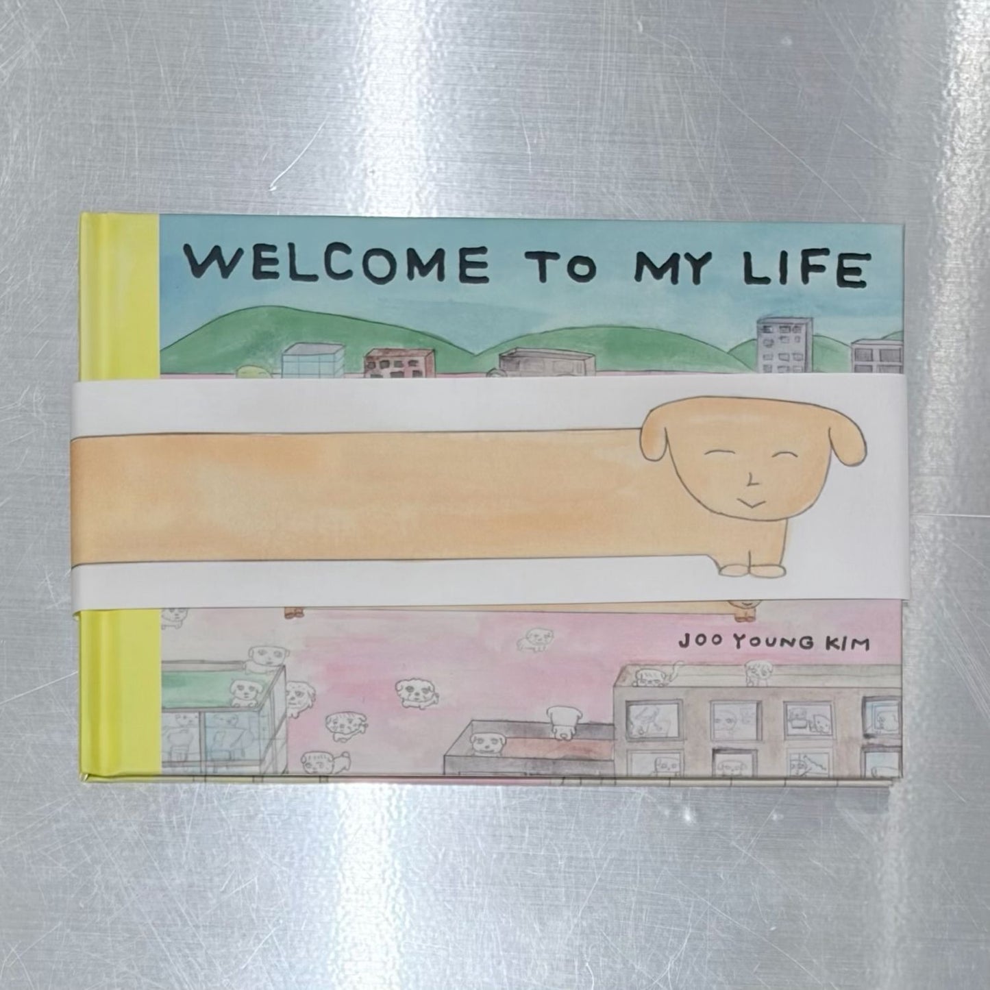 【Joo Young Kim】Book ”Welcome to My Life” / 絵本