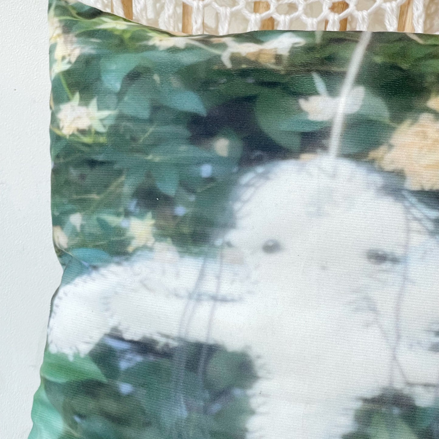 Cushion+ / クッション