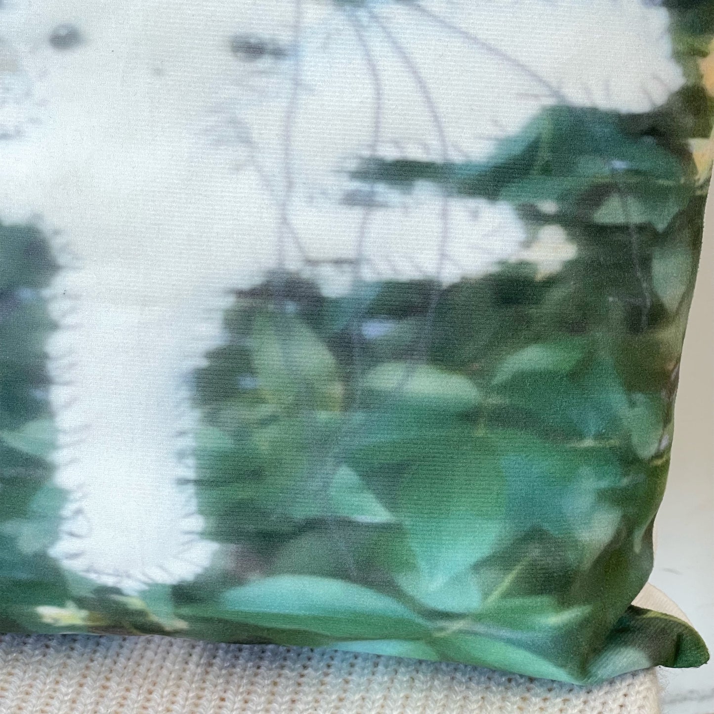 Cushion+ / クッション