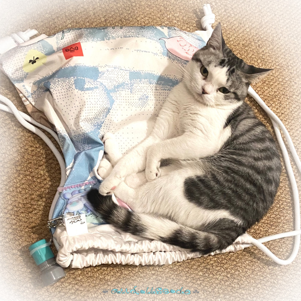 【alldollscode】alldollscode string bag / ナップサック