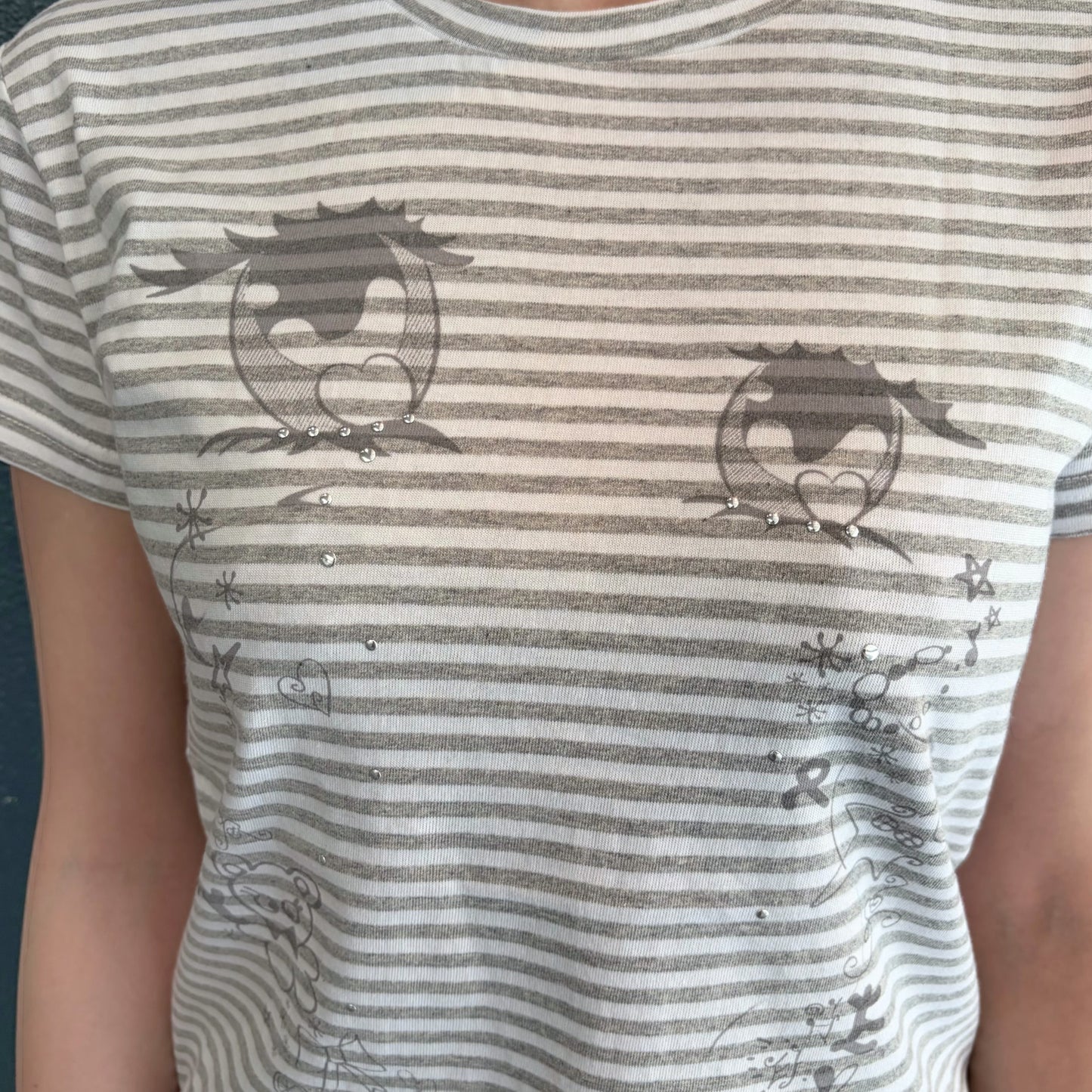 Cry Eyes Stripe Short Sleeve Top / Gray / ストライプグラフィックプリントTシャツ