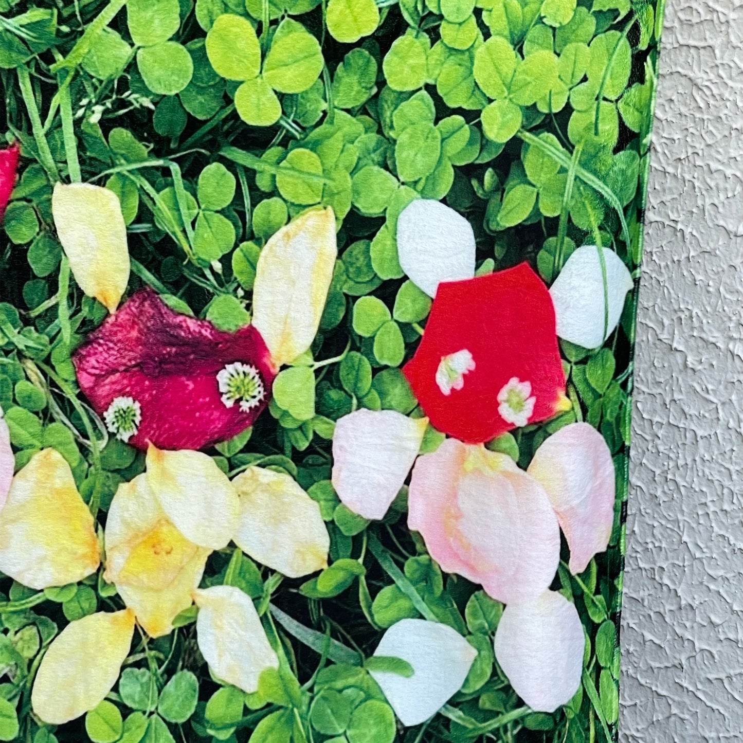 Flower blanket+ / フラワーブランケット