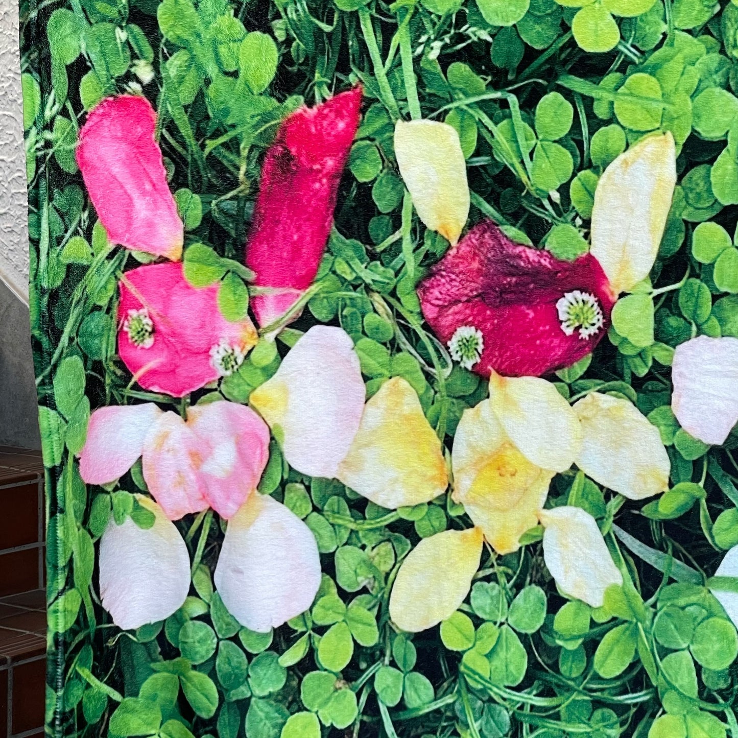 Flower blanket+ / フラワーブランケット