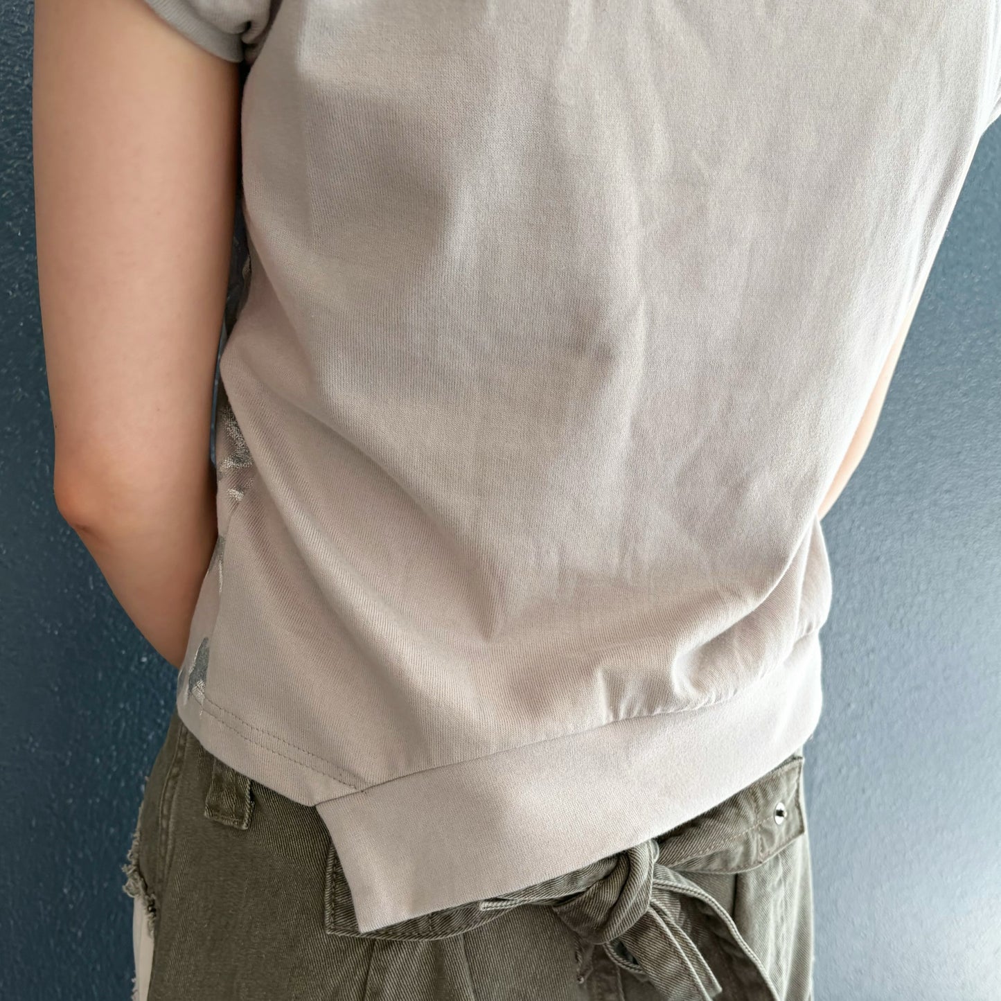 raglan sleeve v neck top / beige x silver print / ラグランスリーブVネックトップ