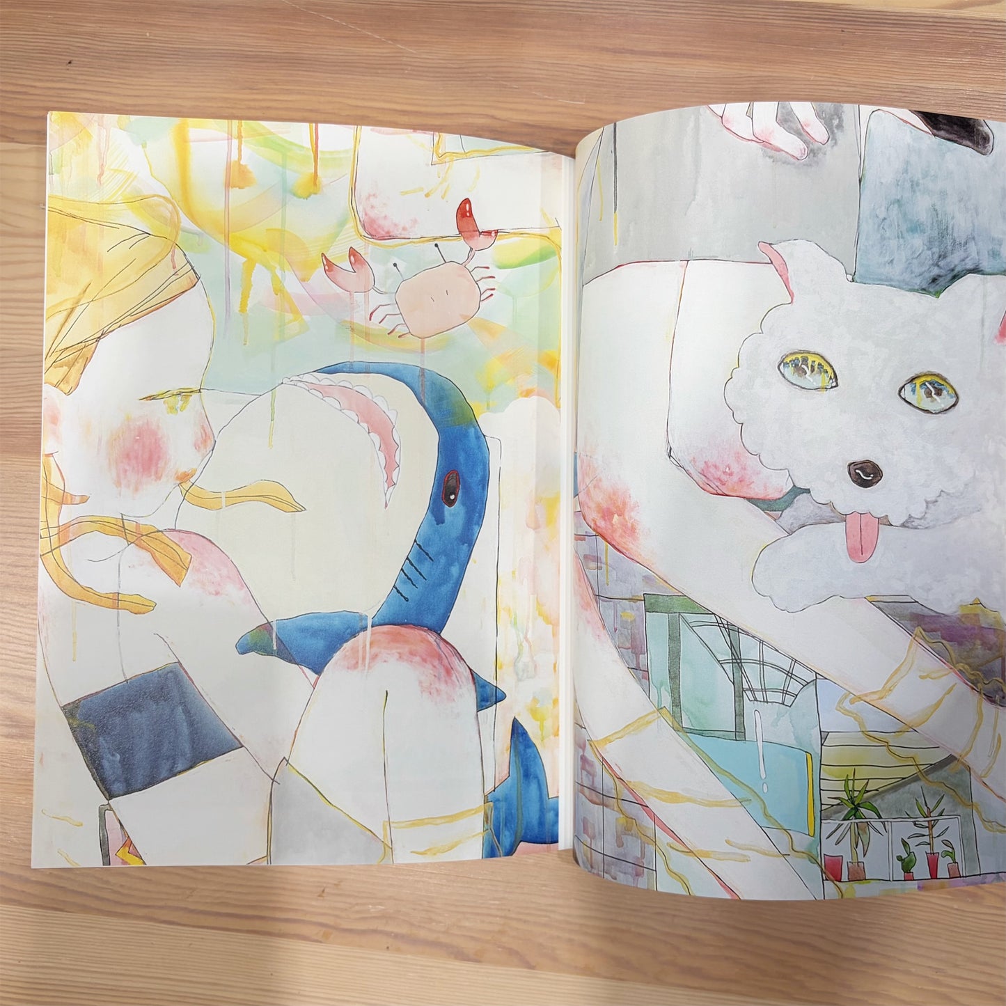 CATALOG / 画集