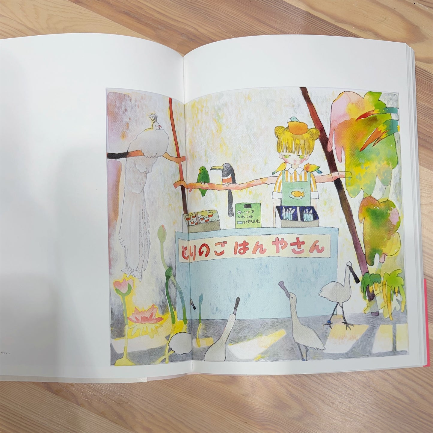 CATALOG / 画集
