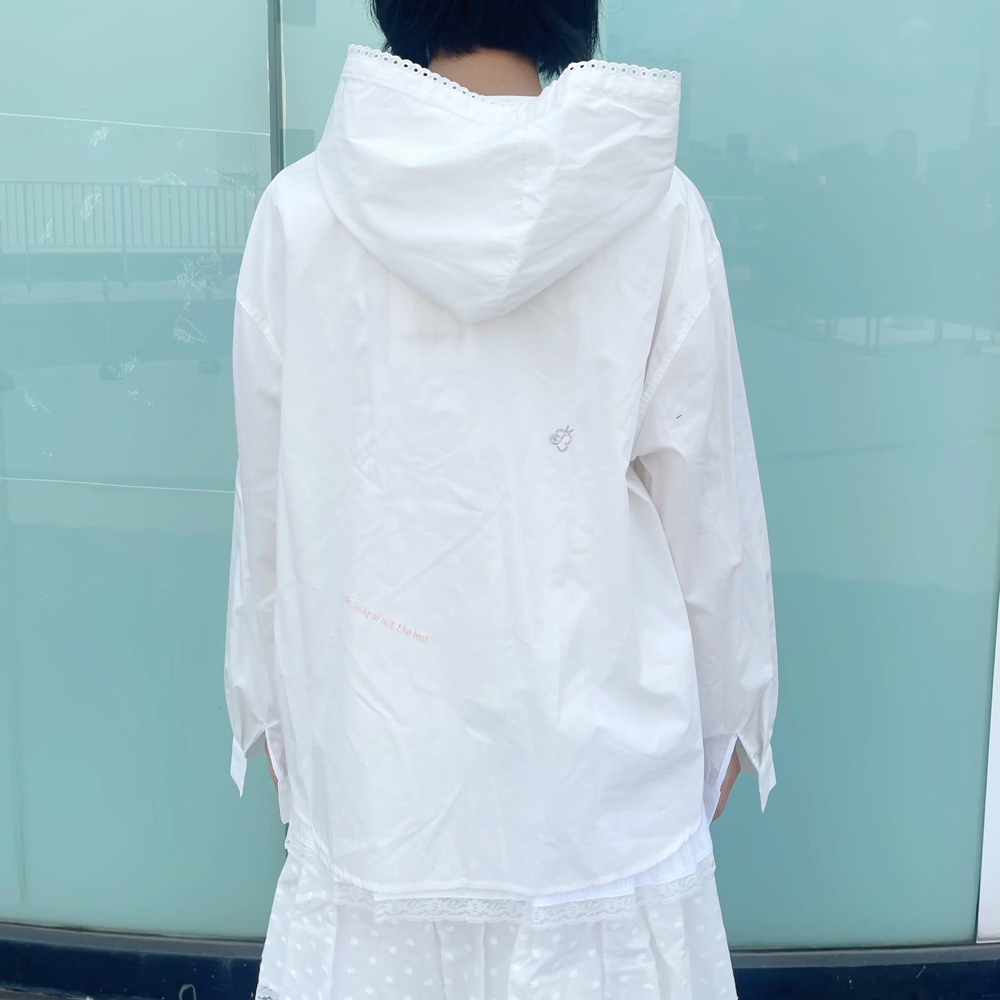 Jolie laide yearbook shirt / Embroidered / 刺繍フーディーシャツ