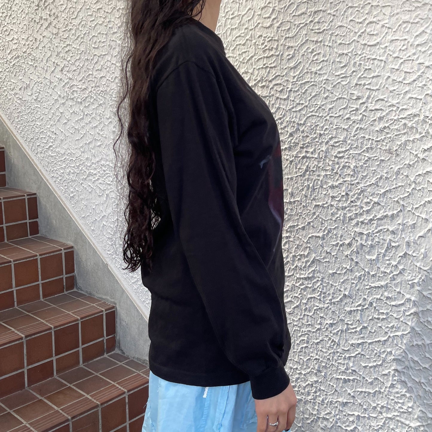 Black ladybug long sleeve / エアブラシTシャツ