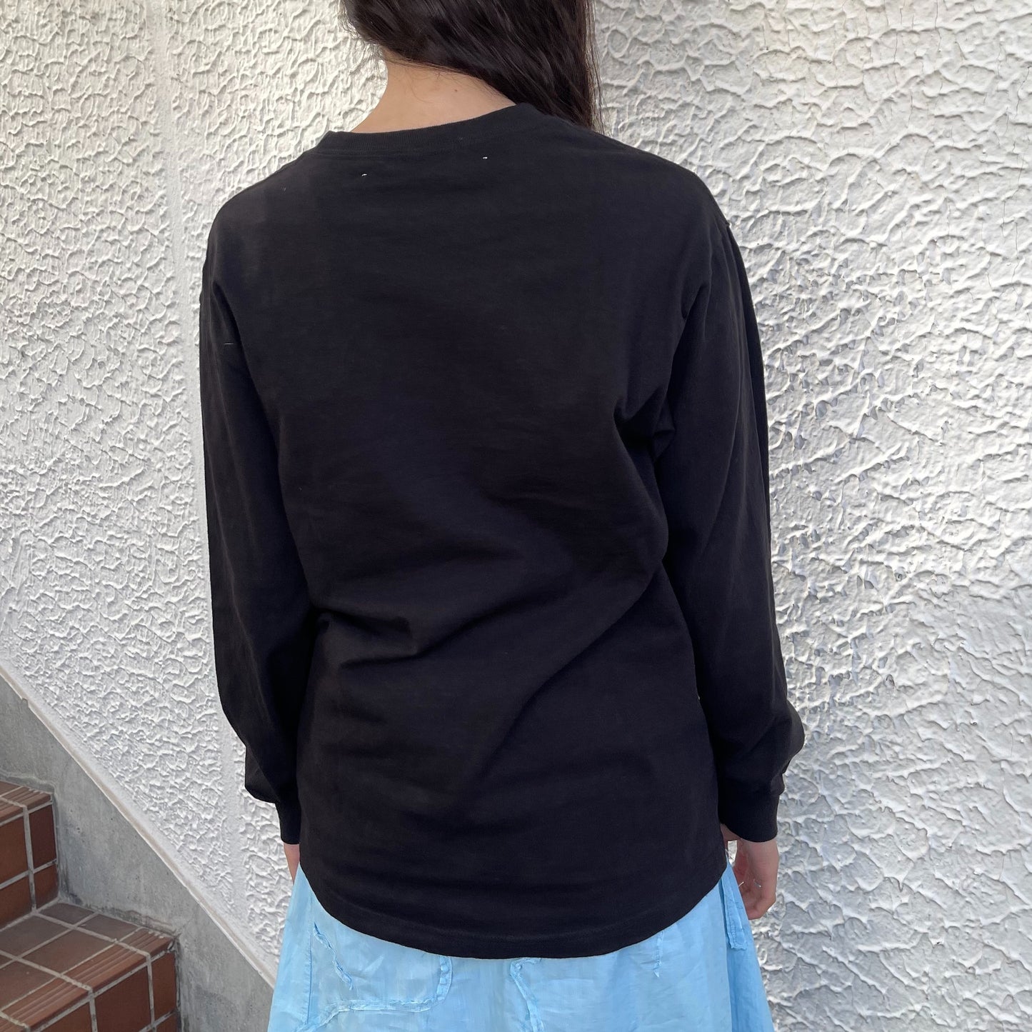 Black ladybug long sleeve / エアブラシTシャツ