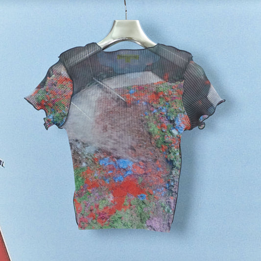 SHEER GRAPHIC TINY TOP / PINK DUST / コンパクトグラフィックトップ