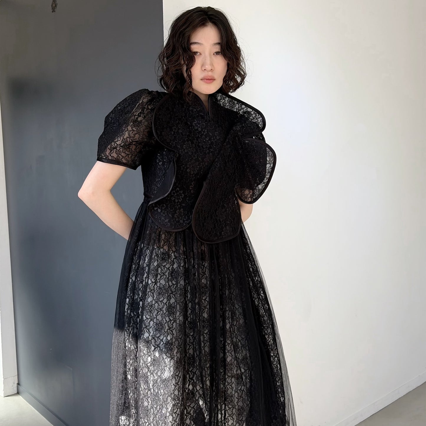 Lace dress / Black / レースドレス
