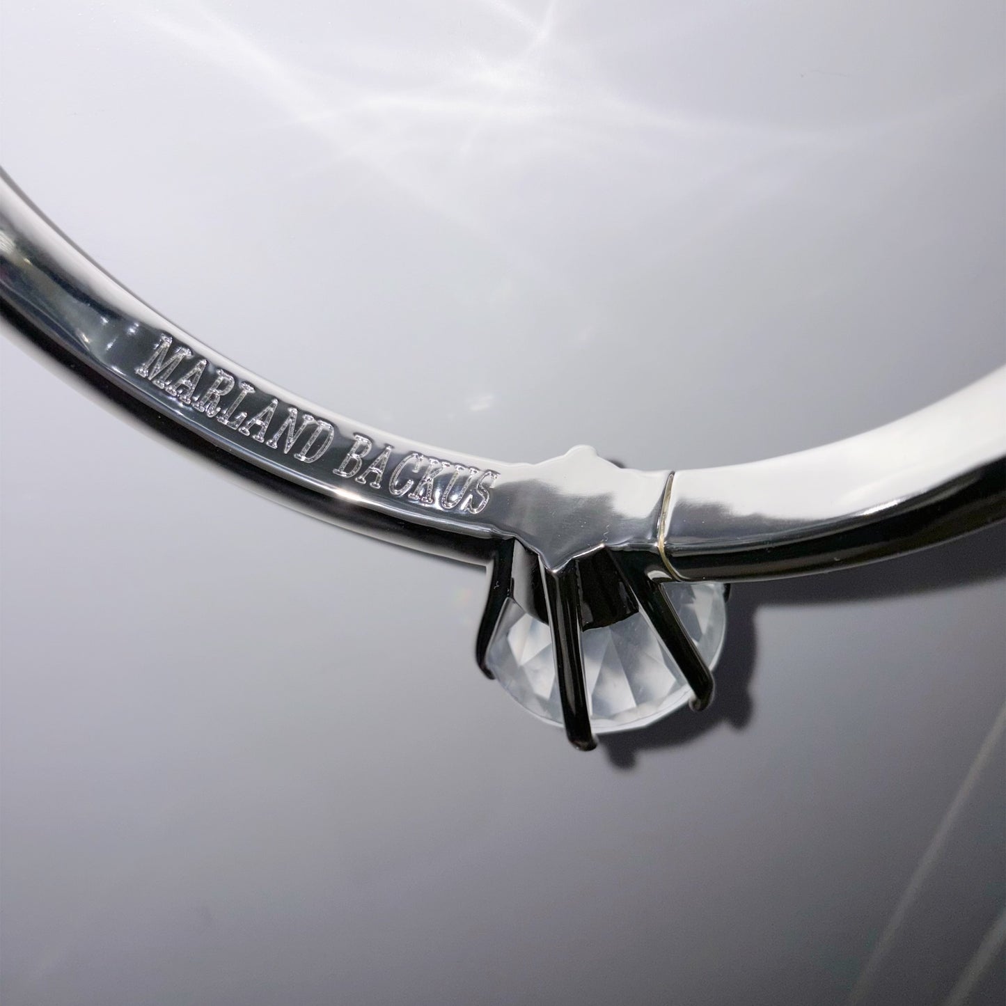 The Big Ring / Silver / ビッグリングネックレス