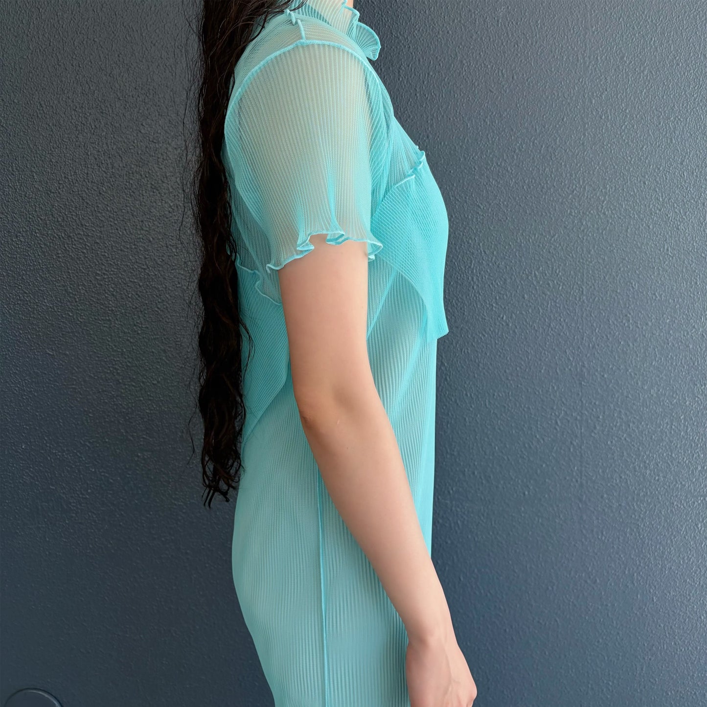 GHOST TODO DRESS *SHORTSLEEVE HIGHNECK +INNER / RAMUNE / チュールプリーツシアードレス