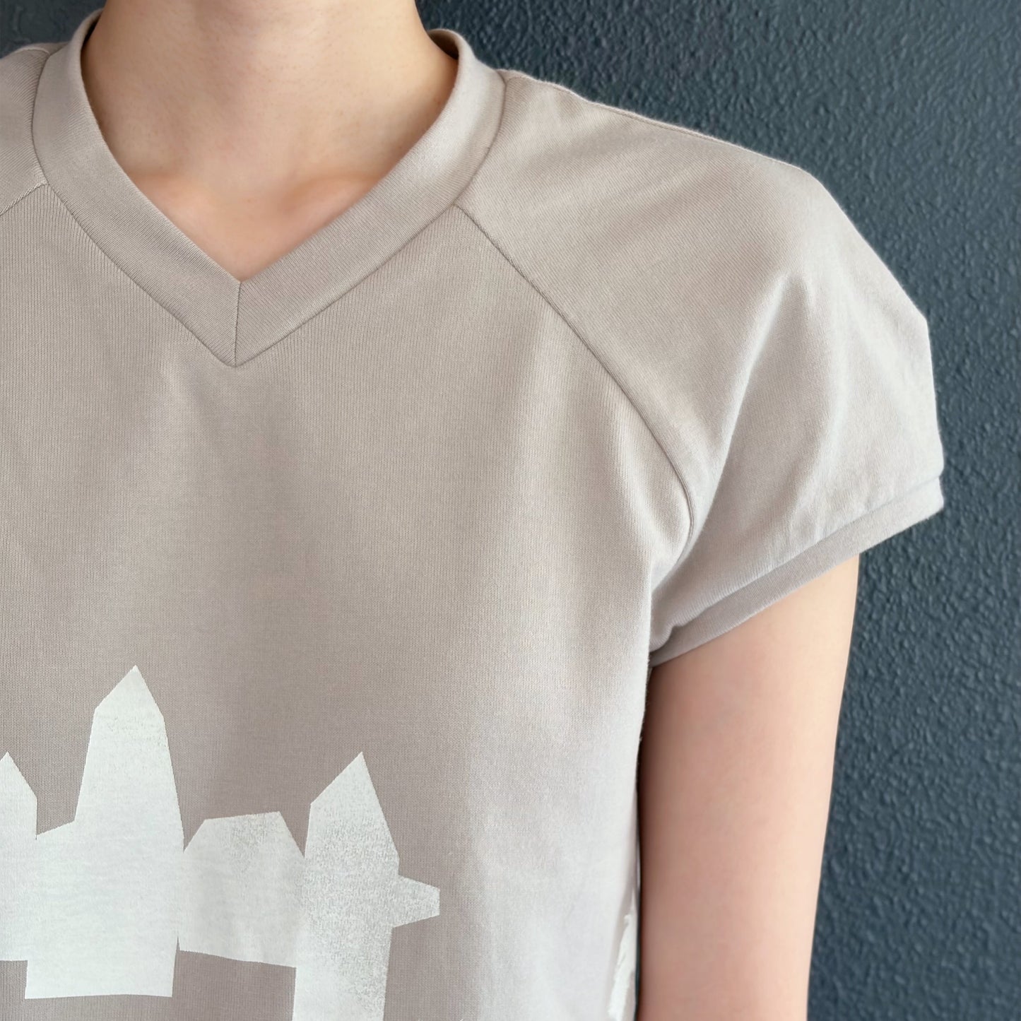 raglan sleeve v neck top / beige / ラグランスリーブVネックトップ