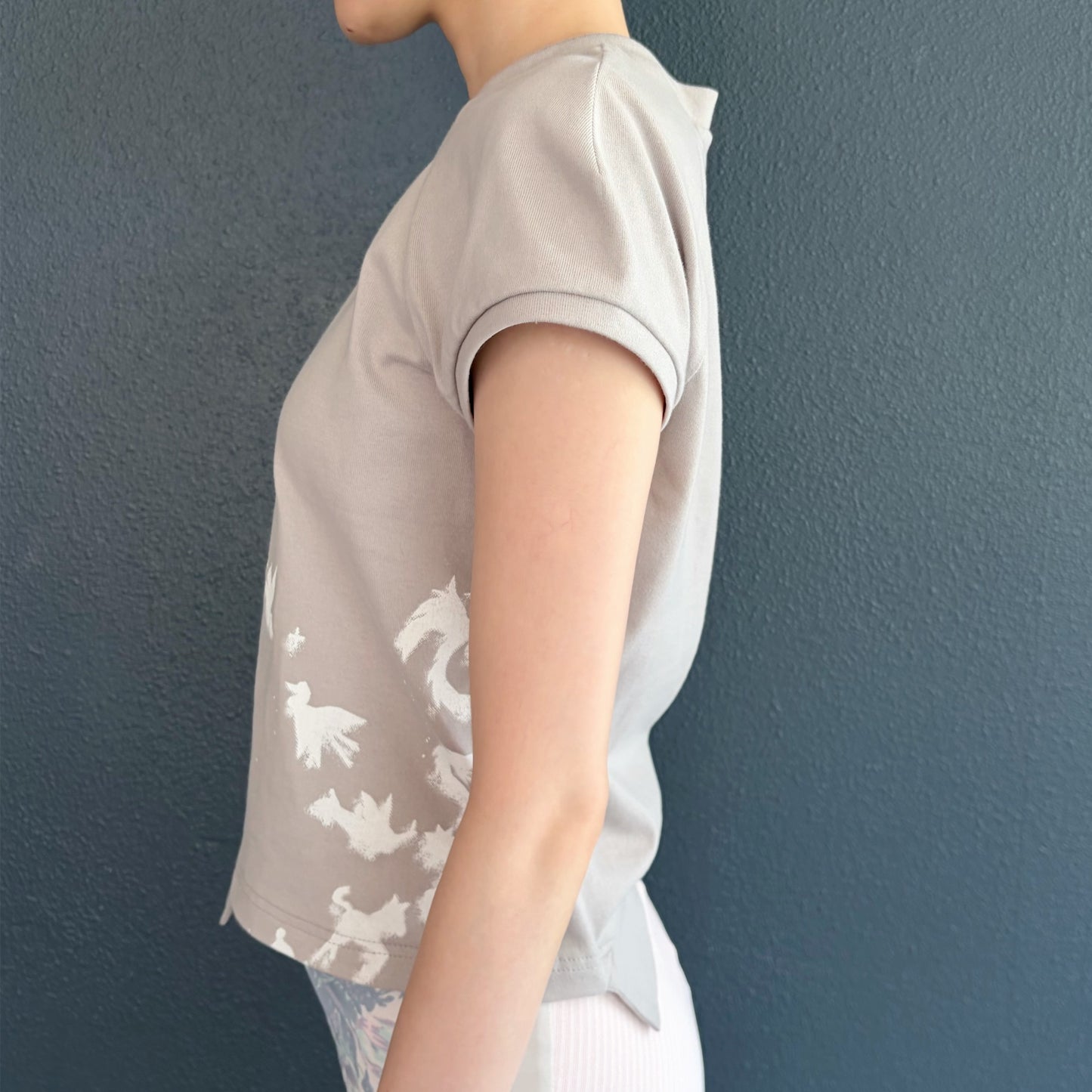 raglan sleeve v neck top / beige / ラグランスリーブVネックトップ