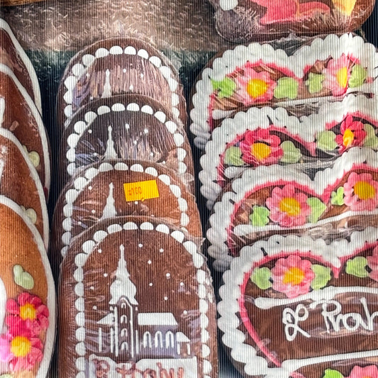 【SHEEP LIMITED】PRINT RIB SKIRT / COOKIE / プリントリブスカート