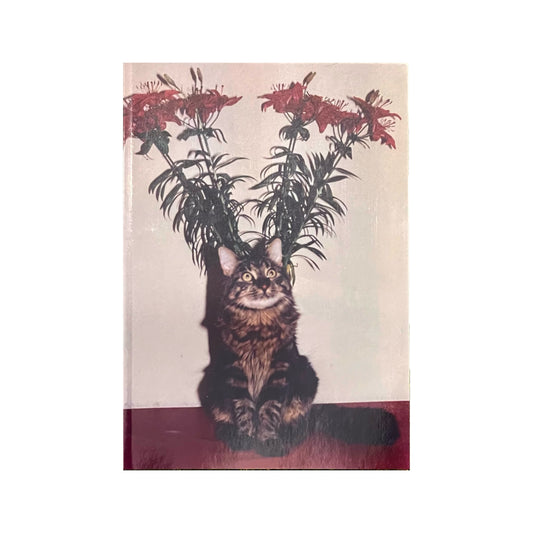 Flower / THE FOREVER CAT